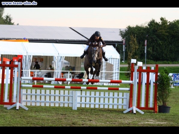 Reitturnier @ Illertissen - Bild 25