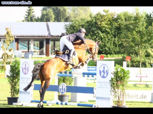 Reitturnier @ Illertissen - Bild 26
