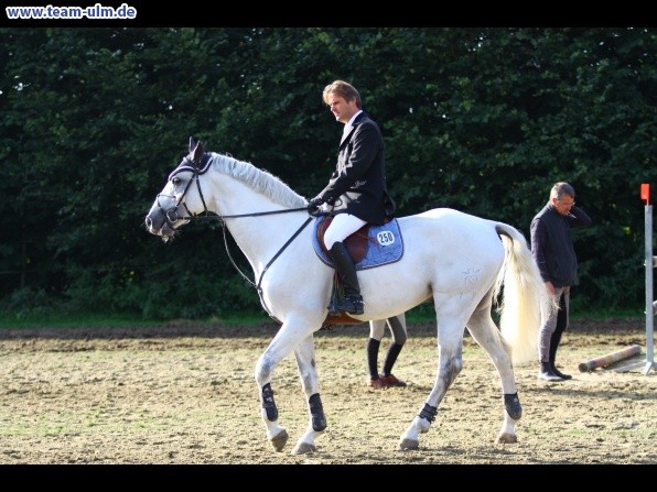 Reitturnier @ Illertissen - Bild 28