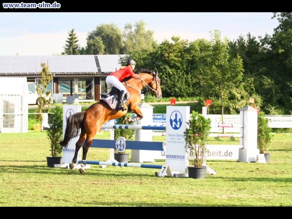 Reitturnier @ Illertissen - Bild 29