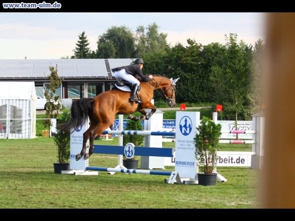 Reitturnier @ Illertissen - Bild 30