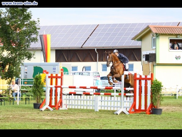 Reitturnier @ Illertissen - Bild 31