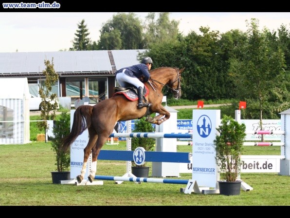Reitturnier @ Illertissen - Bild 32