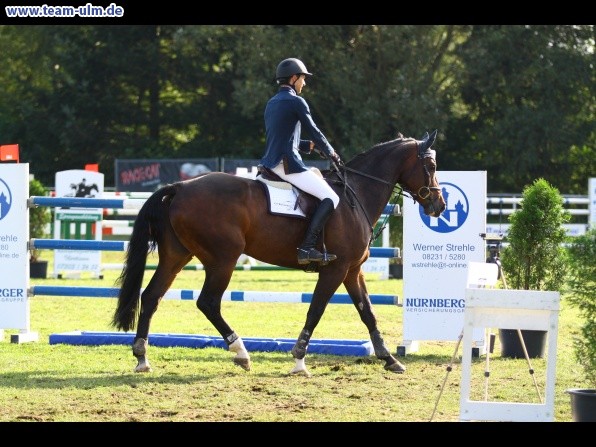Reitturnier @ Illertissen - Bild 33
