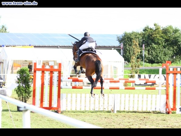 Reitturnier @ Illertissen - Bild 34