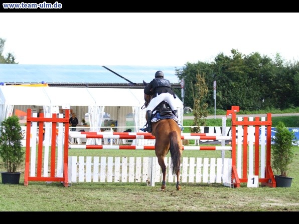 Reitturnier @ Illertissen - Bild 35