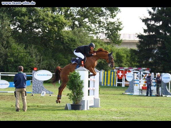 Reitturnier @ Illertissen - Bild 36