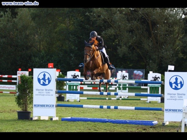 Reitturnier @ Illertissen - Bild 38