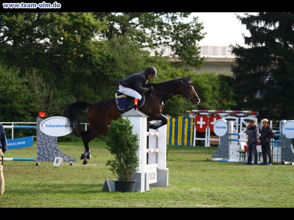 Reitturnier @ Illertissen - Bild 41