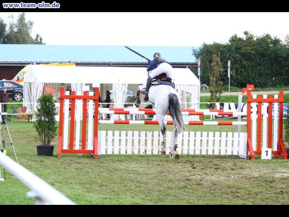 Reitturnier @ Illertissen - Bild 44