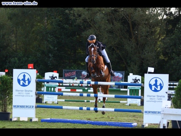 Reitturnier @ Illertissen - Bild 48
