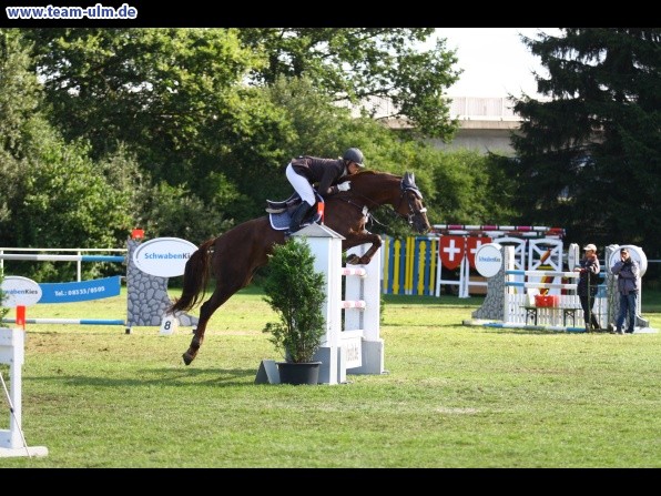 Reitturnier @ Illertissen - Bild 49