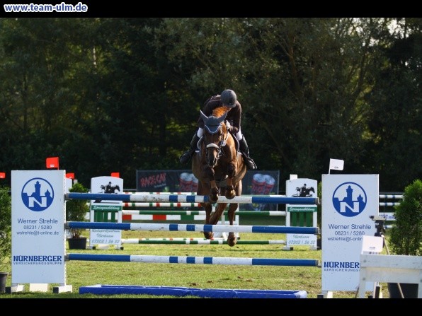 Reitturnier @ Illertissen - Bild 50