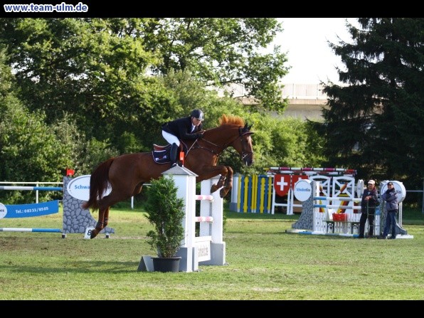 Reitturnier @ Illertissen - Bild 51