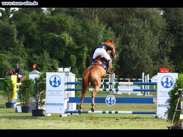 Reitturnier @ Illertissen - Bild 52
