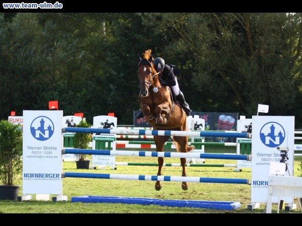 Reitturnier @ Illertissen - Bild 53