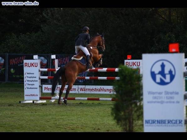 Reitturnier @ Illertissen - Bild 54