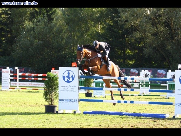 Reitturnier @ Illertissen - Bild 57