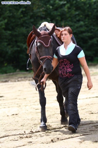 Reitturnier @ Illertissen - Bild 59