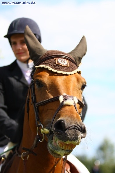 Reitturnier @ Illertissen - Bild 62