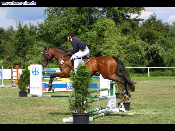 Reitturnier @ Illertissen - Bild 64