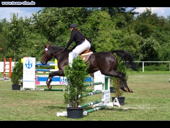 Reitturnier @ Illertissen - Bild 67