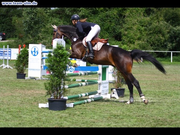 Reitturnier @ Illertissen - Bild 69