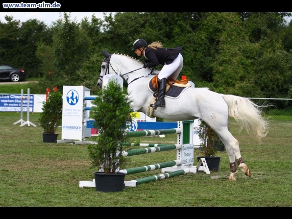Reitturnier @ Illertissen - Bild 71