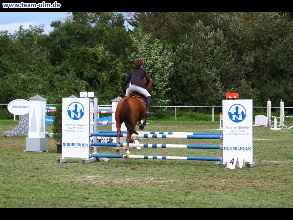 Reitturnier @ Illertissen - Bild 73