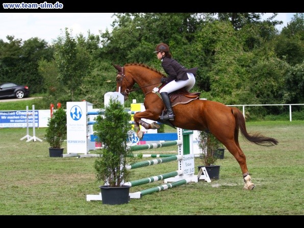 Reitturnier @ Illertissen - Bild 74