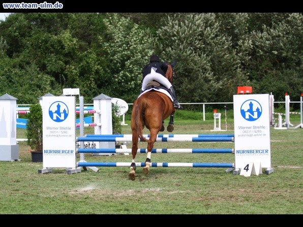 Reitturnier @ Illertissen - Bild 77