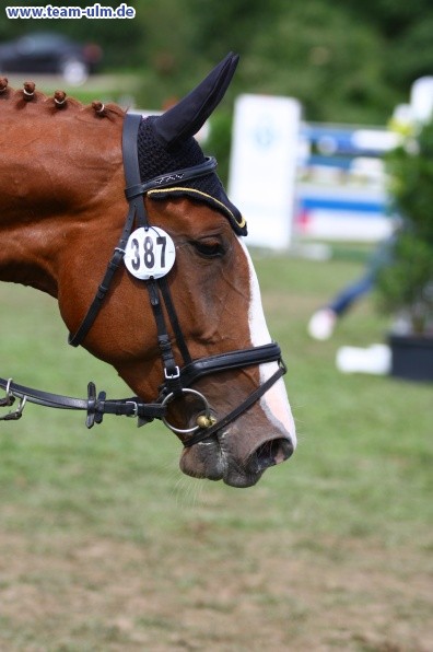 Reitturnier @ Illertissen - Bild 78