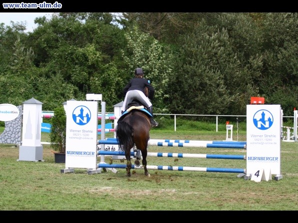 Reitturnier @ Illertissen - Bild 79