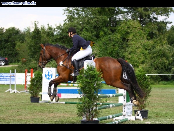 Reitturnier @ Illertissen - Bild 82