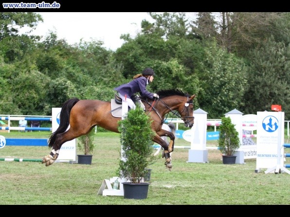Reitturnier @ Illertissen - Bild 83