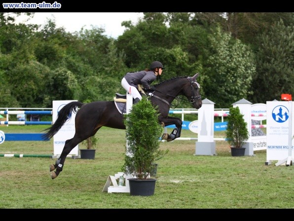 Reitturnier @ Illertissen - Bild 84