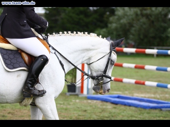 Reitturnier @ Illertissen - Bild 89