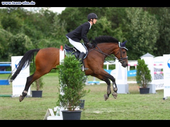 Reitturnier @ Illertissen - Bild 92