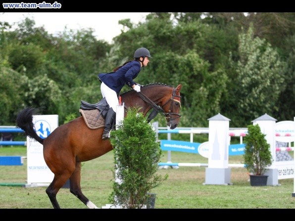 Reitturnier @ Illertissen - Bild 95