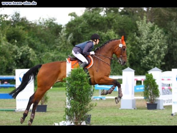 Reitturnier @ Illertissen - Bild 96