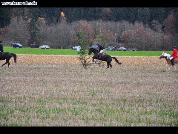 Fuchsjagd @ Jedesheim - Bild 10