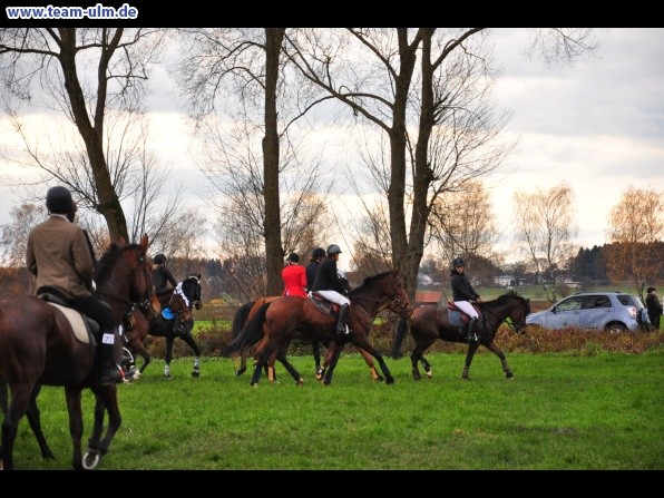 Fuchsjagd @ Jedesheim - Bild 104