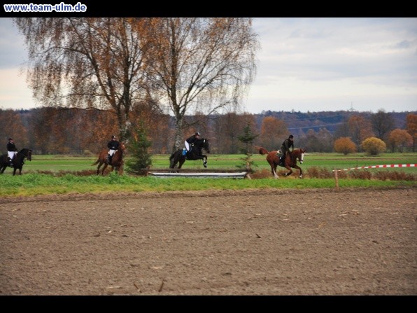 Fuchsjagd @ Jedesheim - Bild 105