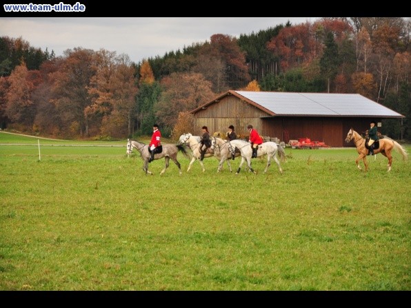 Fuchsjagd @ Jedesheim - Bild 109