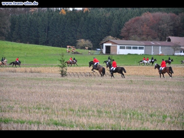 Fuchsjagd @ Jedesheim - Bild 11