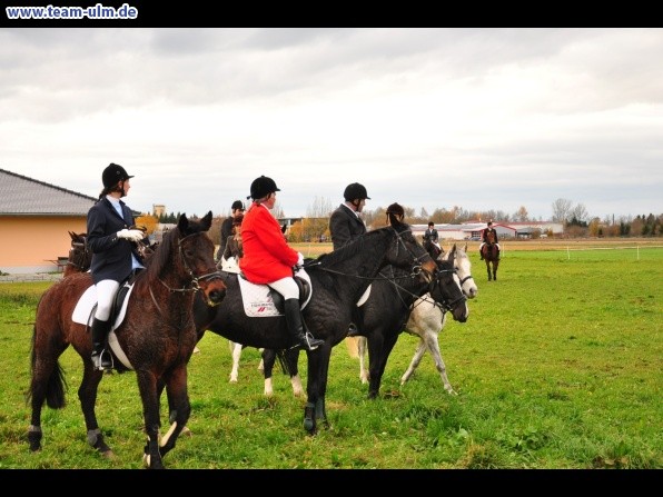 Fuchsjagd @ Jedesheim - Bild 114
