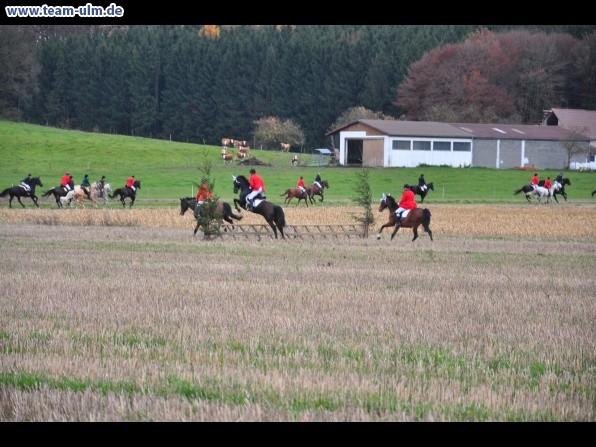 Fuchsjagd @ Jedesheim - Bild 12