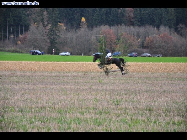 Fuchsjagd @ Jedesheim - Bild 13