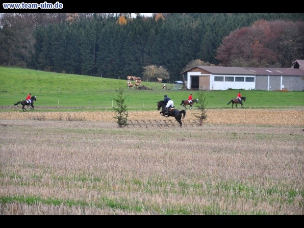 Fuchsjagd @ Jedesheim - Bild 15