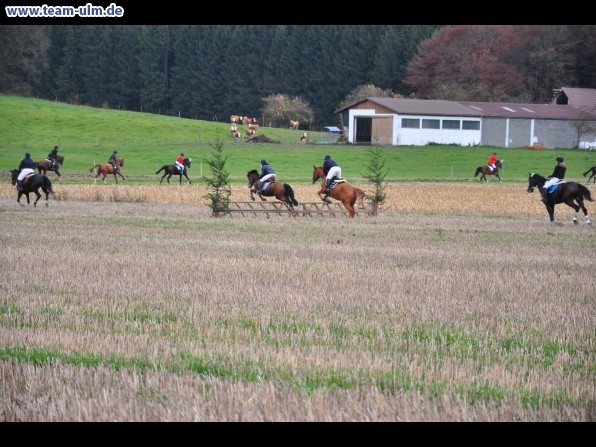 Fuchsjagd @ Jedesheim - Bild 16